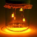 led fireflies thumbnail