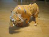 tiger