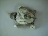 $turtle