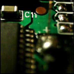 enter the macro photo gallery