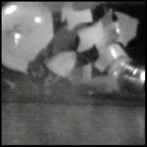 enter the high speed video gallery