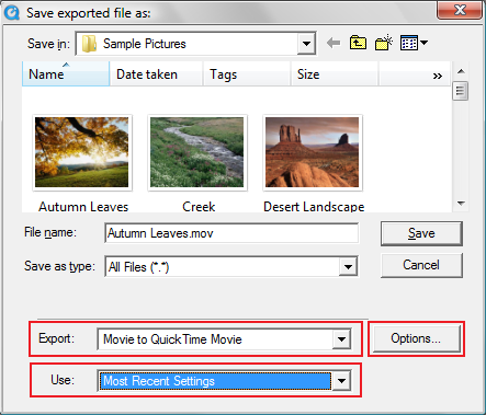 choose to export a quicktime movie and click on options